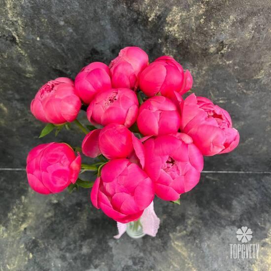 Букет из 11 розовых пионов