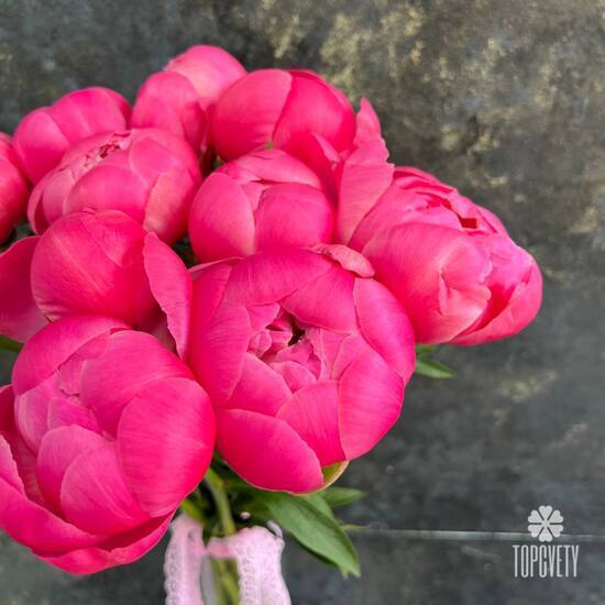 Букет из 11 розовых пионов