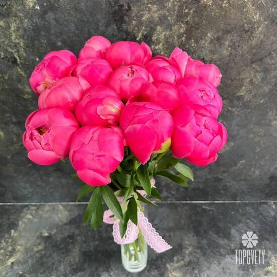 Букет из 15 розовых пионов