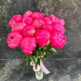 Букет из 15 розовых пионов