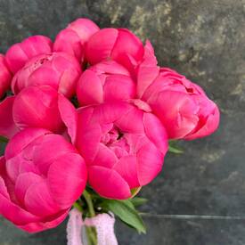 Букет из 15 розовых пионов