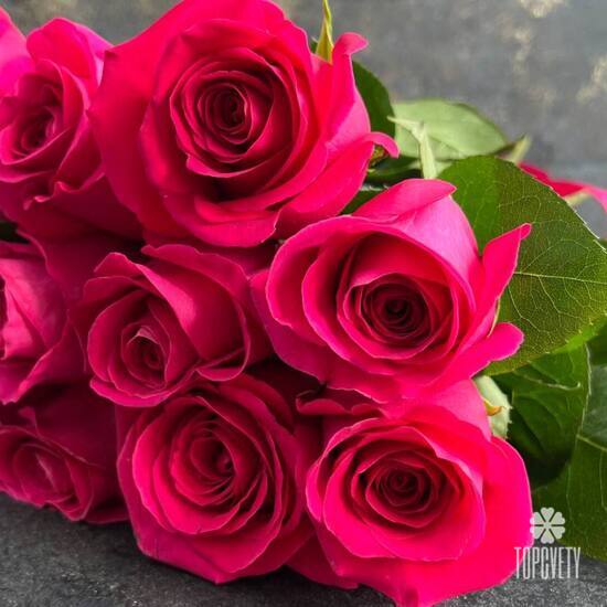 Букет из 11 розовых роз Пинк Флойд 50см