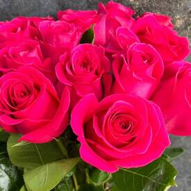 Букет из 13 розовых роз Пинк Флойд 50см