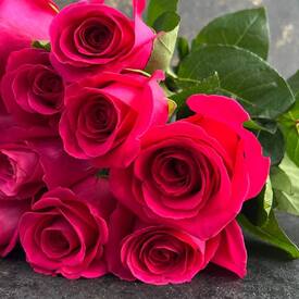 Букет из 13 розовых роз Пинк Флойд 50см