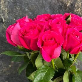 Букет из 17 розовых роз Пинк Флойд 50см