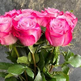 Букет из 11 сиреневых роз 