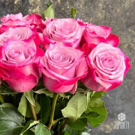 Букет из 15 сиреневых роз