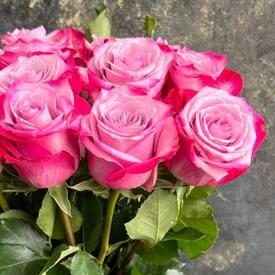 Букет из 15 сиреневых роз