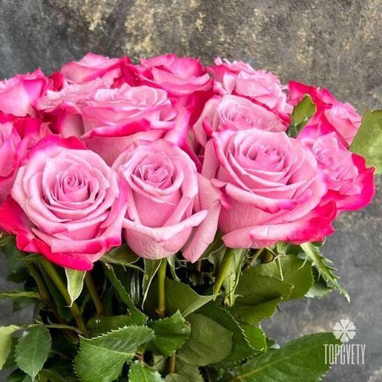 Букет из 19 сиреневых роз