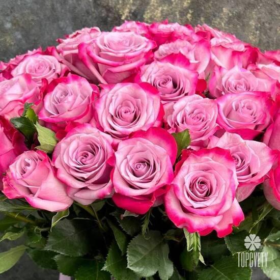 Букет из 51 сиреневых роз Дип Перпл 50см