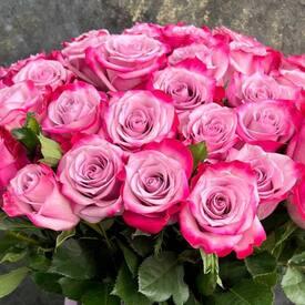 Букет из 51 сиреневых роз Дип Перпл 50см