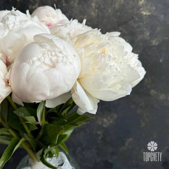 Букет из 11 белых пионов