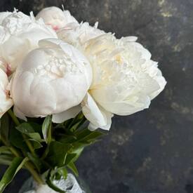 Букет из 11 белых пионов