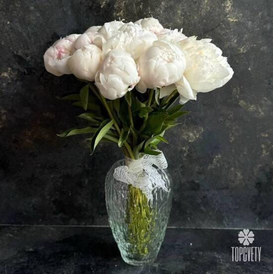 Букет из 11 белых пионов