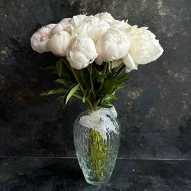 Букет из 11 белых пионов