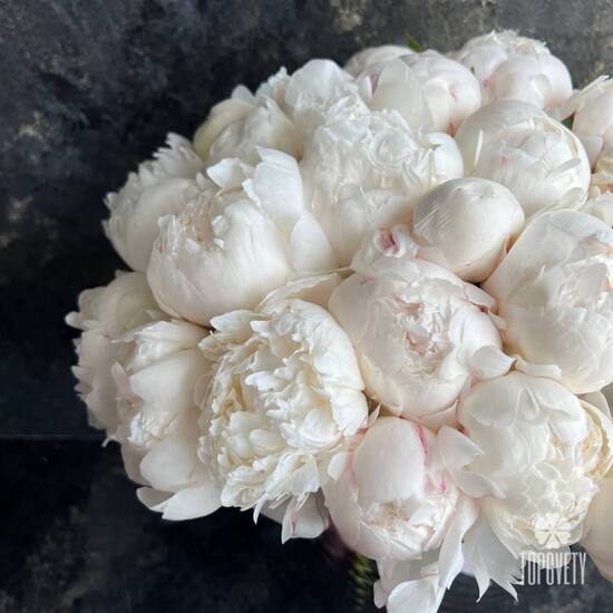 Букет из 35 белых пионов 