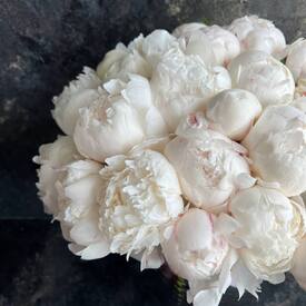 Букет из 35 белых пионов 