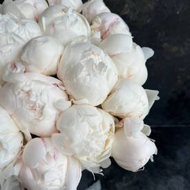 Букет из 35 белых пионов 