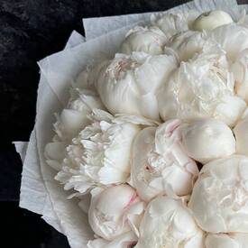 Букет из 25 белых  пионов