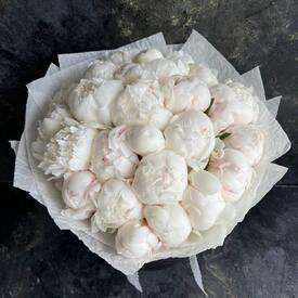 Букет из 25 белых  пионов