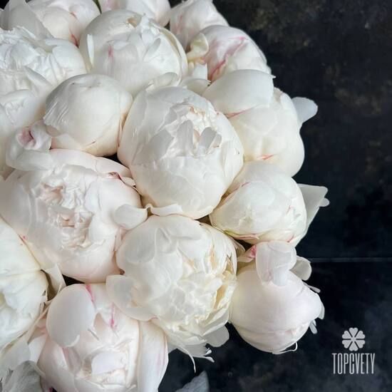 Букет из 21 белого пиона