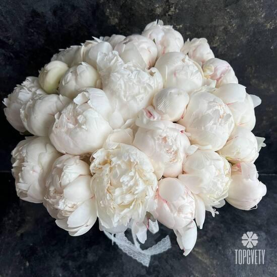 Букет из 21 белого пиона