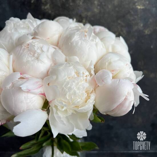 Букет из 15 белых пионов