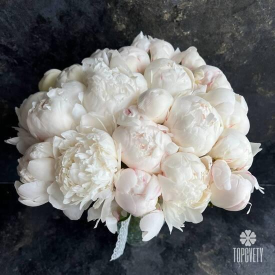 Букет из 15 белых пионов