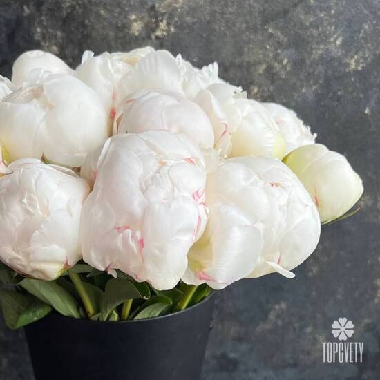 Букет из 15 белых пионов в коробке
