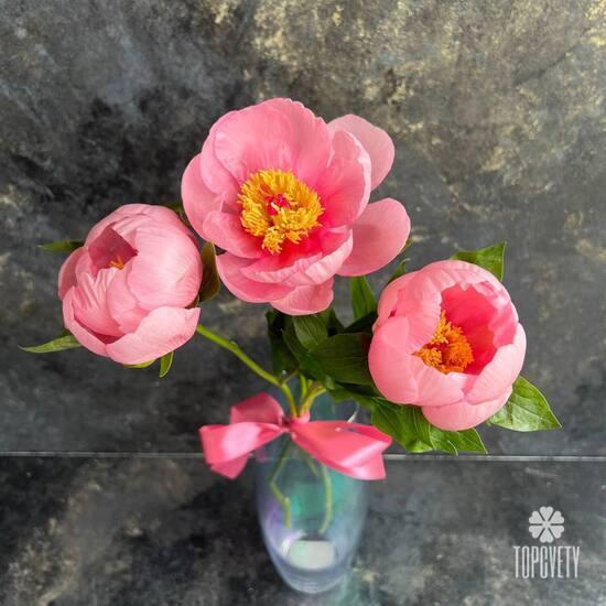 Букет из 3 розовых пионов