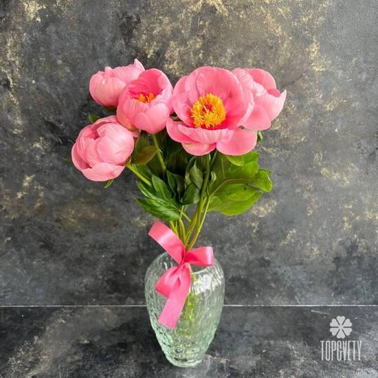 Букет из 5 розовых пионов 