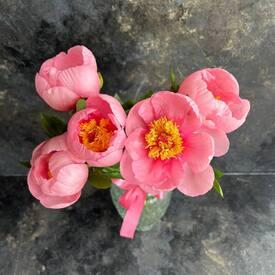 Букет из 5 розовых пионов 