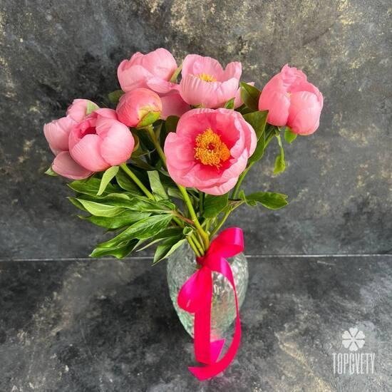 Букет из 7 розовых пионов