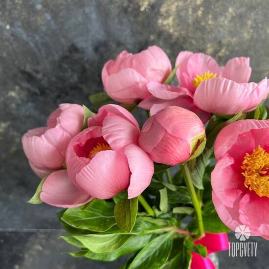 Букет из 7 розовых пионов