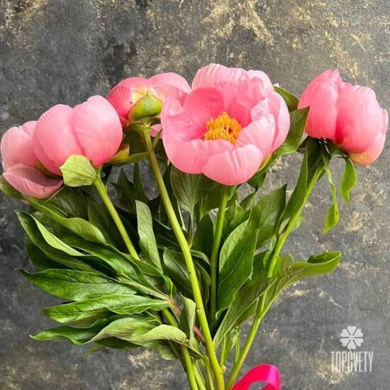 Букет из 7 розовых пионов