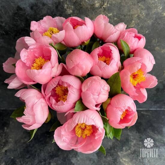 Букет из 15 розовых пионов 