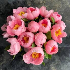 Букет из 15 розовых пионов 