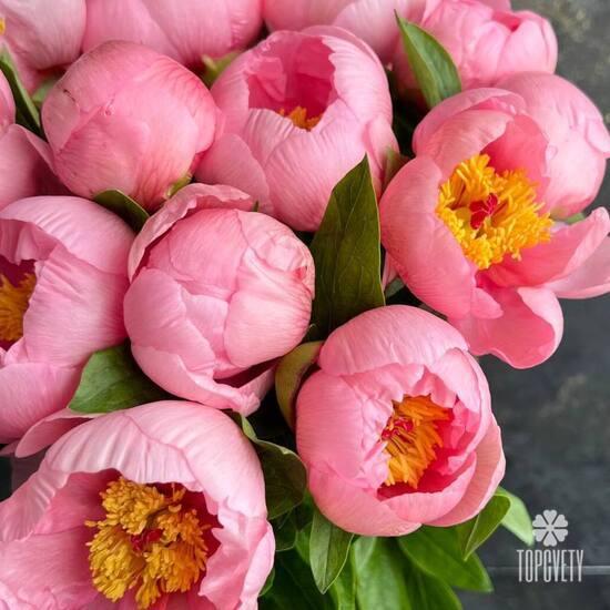 Букет из 15 розовых пионов 