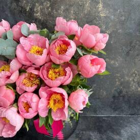 Букет из 25 розовых пионов и эвкалипта