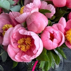 Букет из 25 розовых пионов и эвкалипта