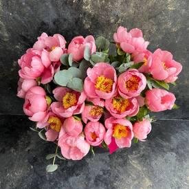 Букет из 19 розовых пионов и эвкалипта в коробке 