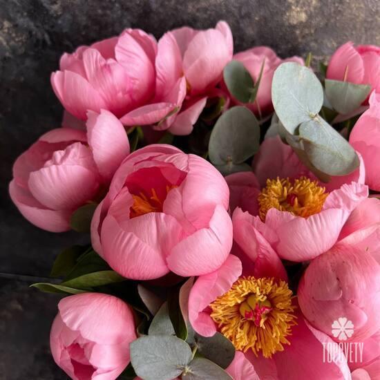 Букет из 35 розовых пионов и эвкалипта