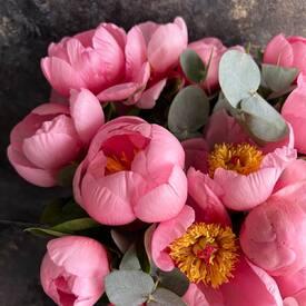 Букет из 35 розовых пионов и эвкалипта