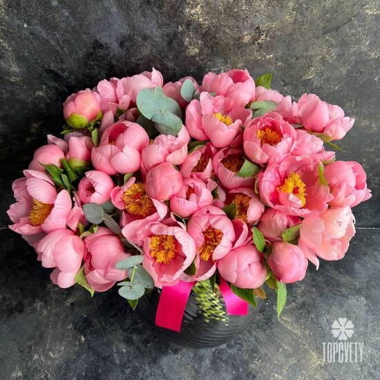 Букет из 35 розовых пионов и эвкалипта