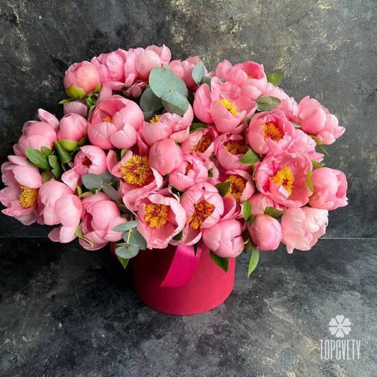 Букет из 35 розовых пионов в шляпной коробке