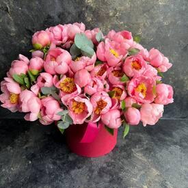 Букет из 35 розовых пионов в шляпной коробке