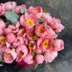 Букет из 35 розовых пионов в шляпной коробке