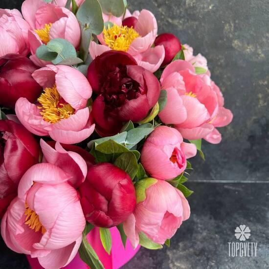 Букет из 35 розовых и красных пионов в шляпной коробке