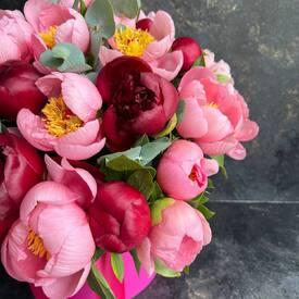 Букет из 35 розовых и красных пионов в шляпной коробке