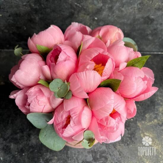 Коробка из 11 розовых пионов и эвкалипта 